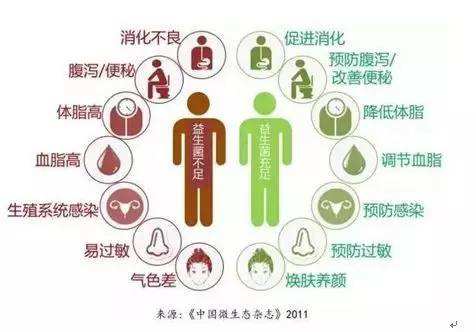 夏天腸胃問題頻發，您應該用益生菌了
