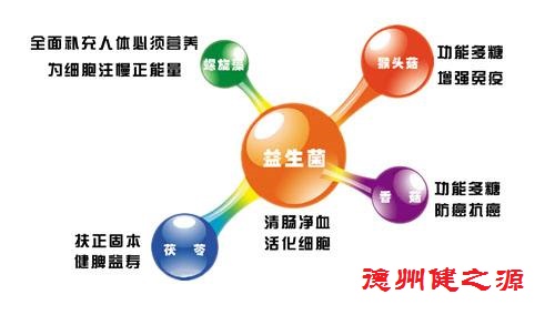 夏天腸胃問題頻發，您應該用益生菌了
